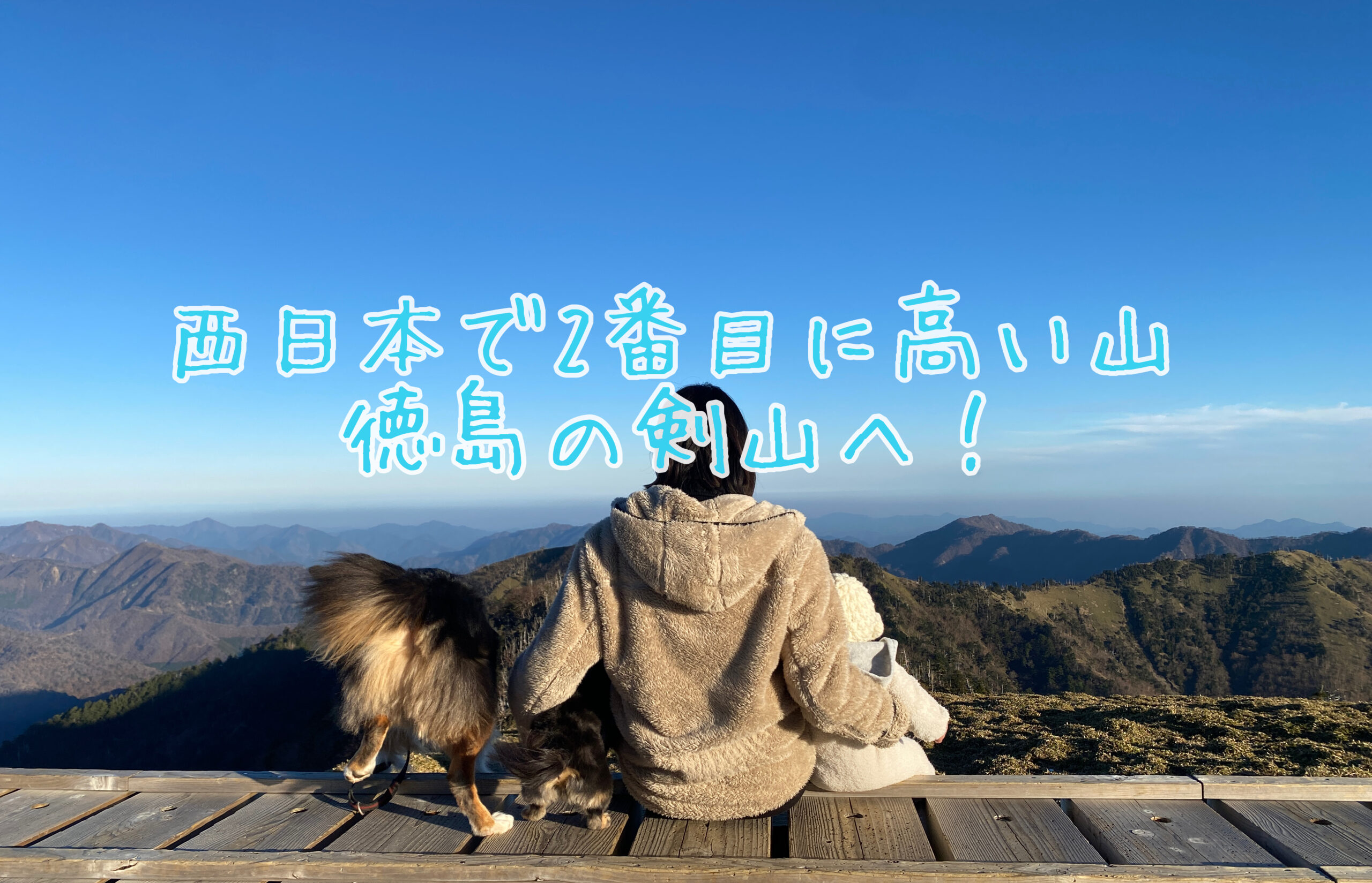 犬と剣山